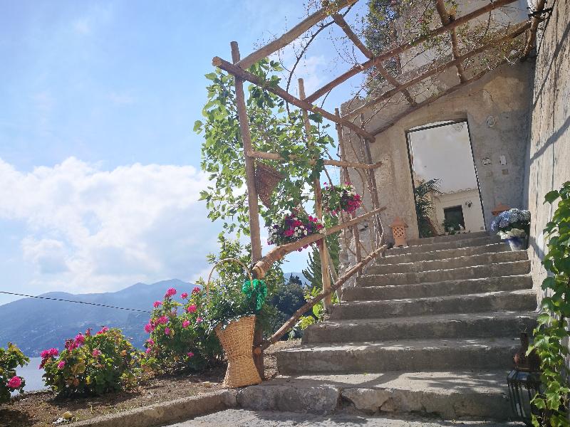 Badia Santa Maria De Olearia - Genel