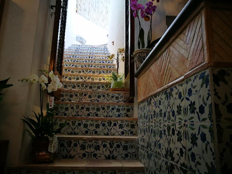 Badia Santa Maria De Olearia - Teras
