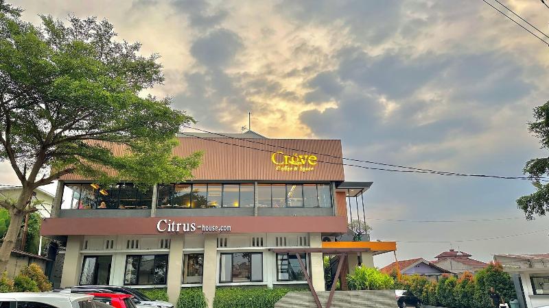 Citrus House - Genel