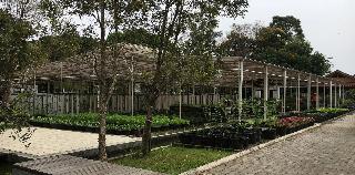 Citrus House fotoÄŸrafÄ±