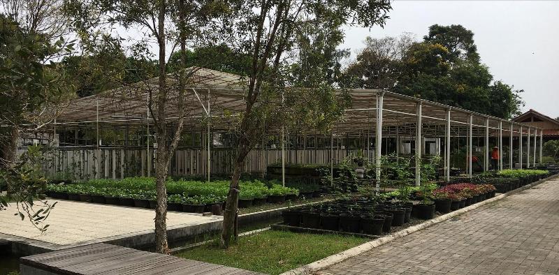 Citrus House - Genel
