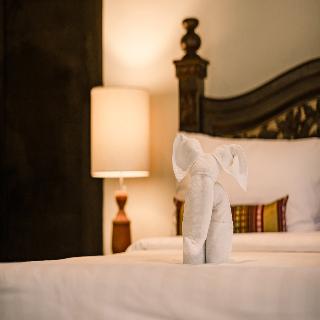 BeingSattvaa Luxury Ubud fotoÄŸrafÄ±