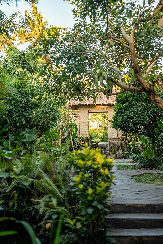 Radha Phala Resort and Spa fotoÄŸrafÄ±