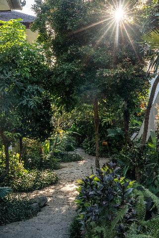 Radha Phala Resort and Spa fotoÄŸrafÄ±
