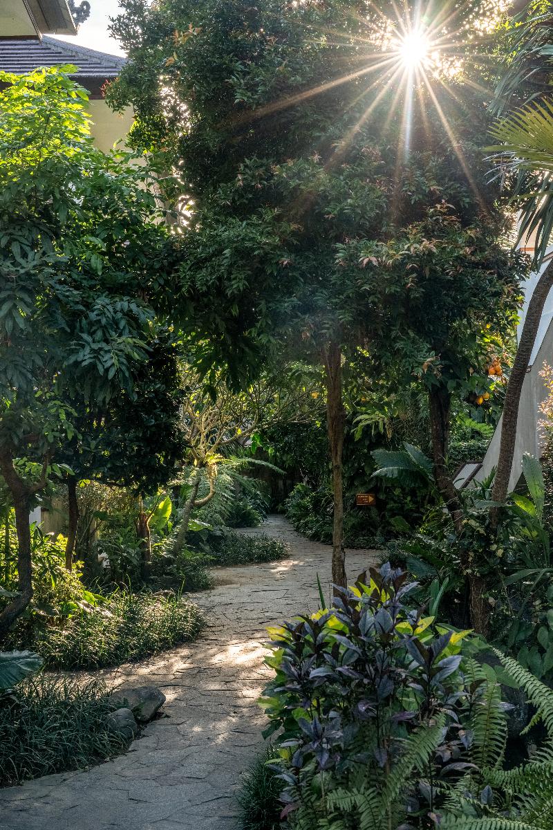 Radha Phala Resort and Spa - Genel