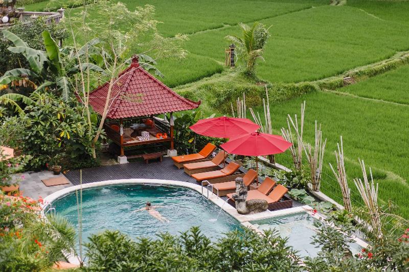 OM HAM Retreat - Havuz