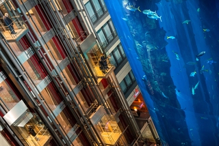 Radisson Collection Hotel, Berlin fotoÄŸrafÄ±