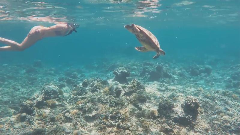 Seri Resort Gili Meno - Adults Only - Aktivite