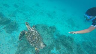Seri Resort Gili Meno - Adults Only fotoÄŸrafÄ±