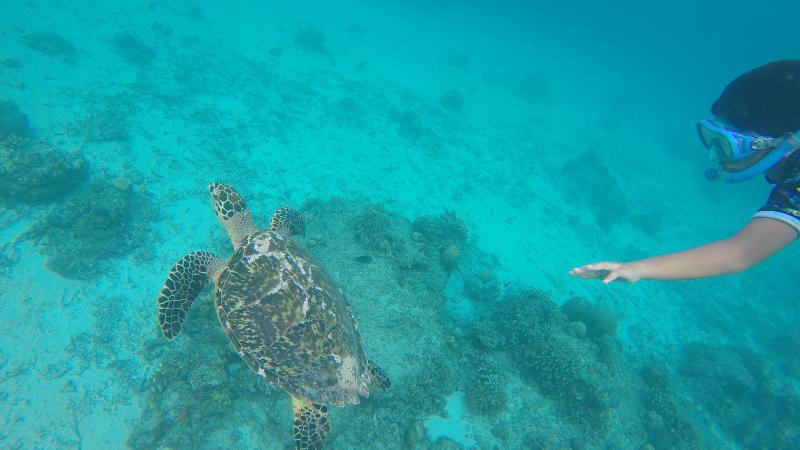 Seri Resort Gili Meno - Adults Only - Aktivite