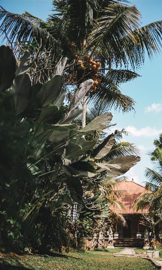 Ubud Hotel & Cottages Malang fotoÄŸrafÄ±