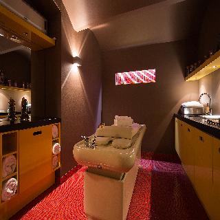 Le Palais Art Hotel Prague fotoÄŸrafÄ±