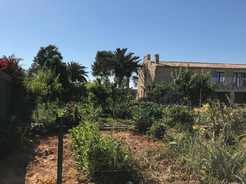 Masia El Teular - Genel