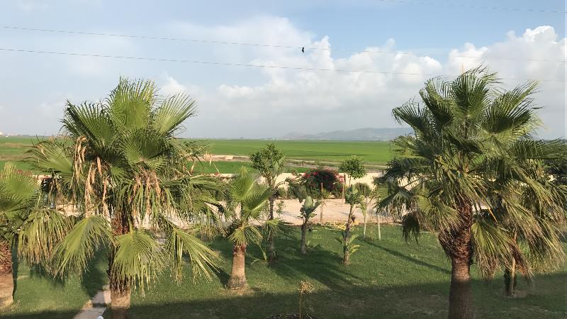 Masia El Teular - Teras