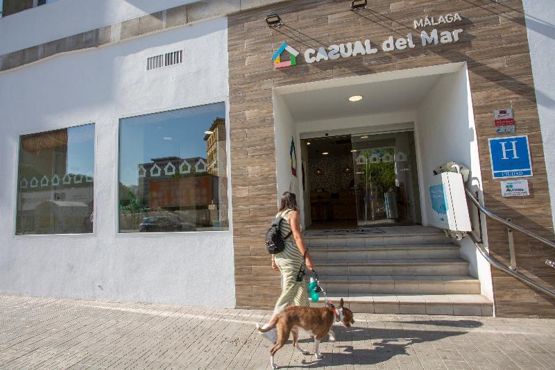 Casual del Mar Málaga - Genel