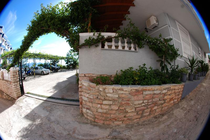 Vila Alvin - Genel