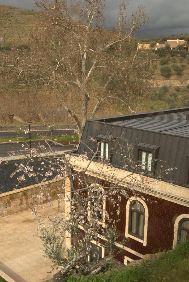 Longroiva Hotel Rural - Genel