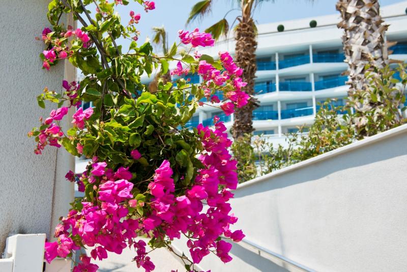 Selene Beach & Spa Hotel Theia Hotels Collection - Teras