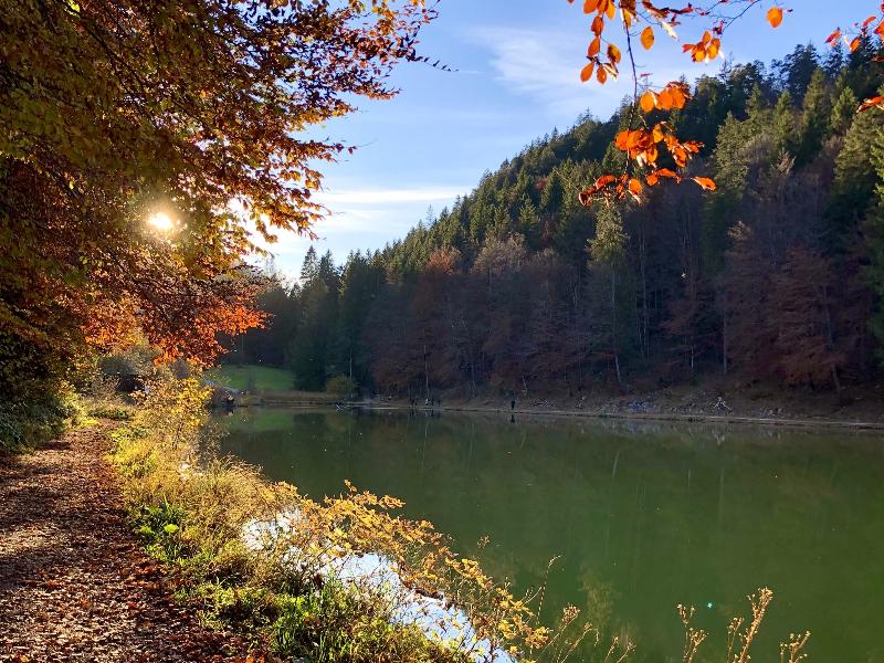 Riessersee Hotel - Aktivite
