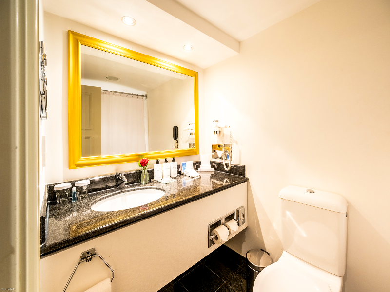 Intercontinental Vienna - Oda