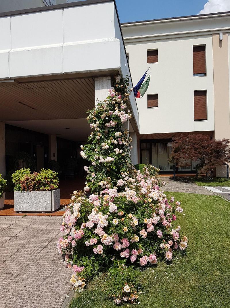 Quality Hotel Continental Brescia - Genel