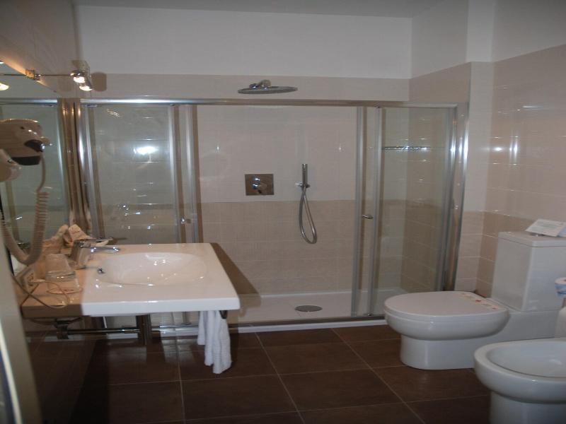Quality Hotel Continental Brescia - Oda
