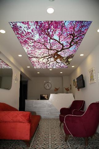 Pirlanta Butik Otel fotoÄŸrafÄ±