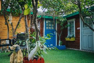 Pirlanta Butik Otel fotoÄŸrafÄ±