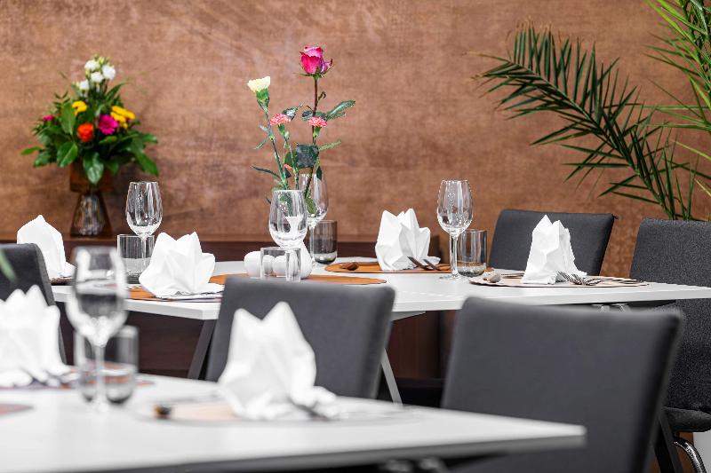 NH Collection Salzburg City - Toplantı