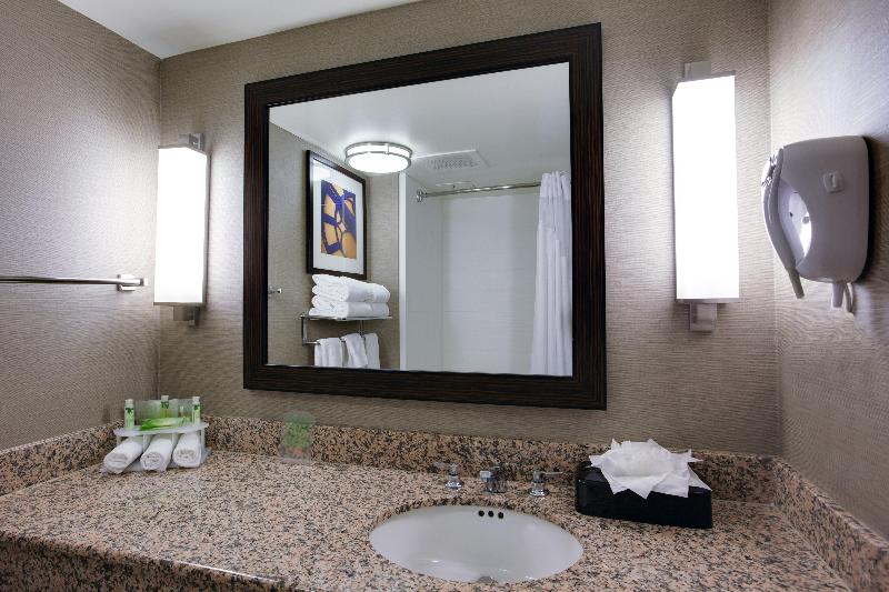 Holiday Inn Express & Suites Meadowlands Area IHG - Oda