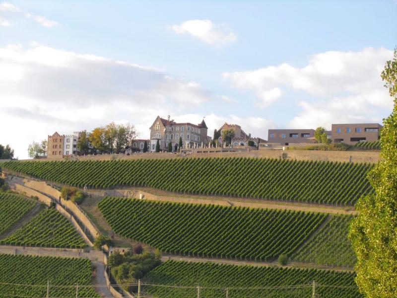Schloss Steinburg - Genel