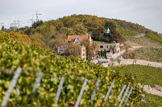 Schloss Steinburg fotoÄŸrafÄ±