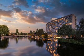 Hilton Amsterdam fotoÄŸrafÄ±