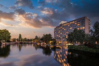 Hilton Amsterdam fotoÄŸrafÄ±