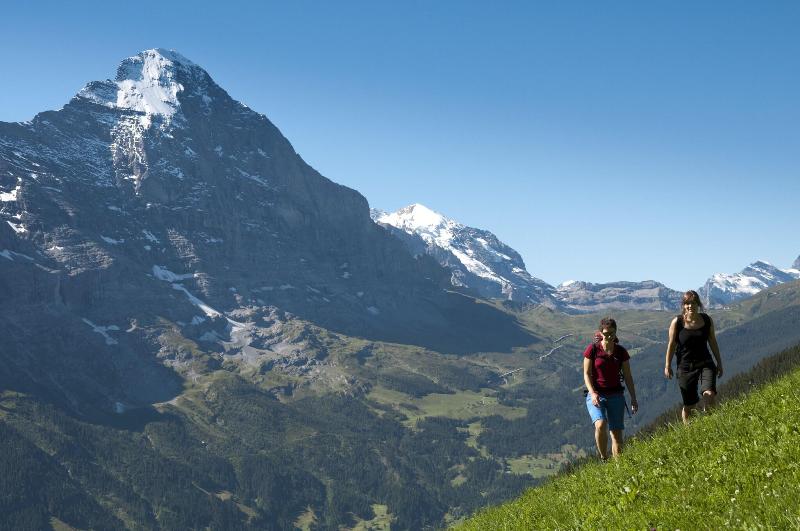 Hotel Central Wolter - Grindelwald - Aktivite