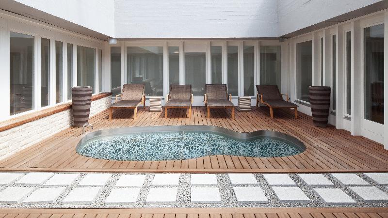 Crowne Plaza Zurich - Havuz