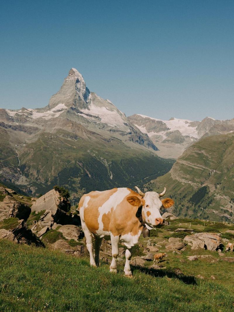 BEAUSiTE Zermatt - Genel