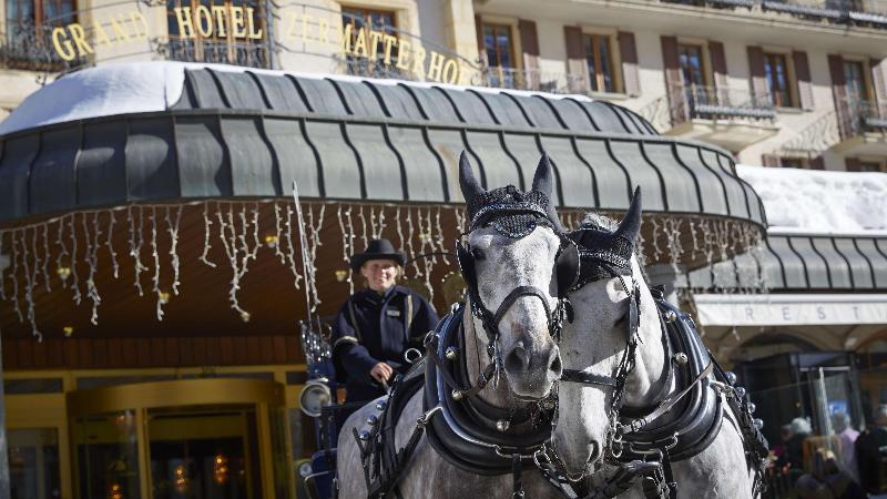 Grand Hotel Zermatterhof - Genel