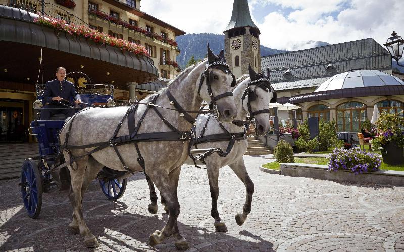 Grand Hotel Zermatterhof - Genel