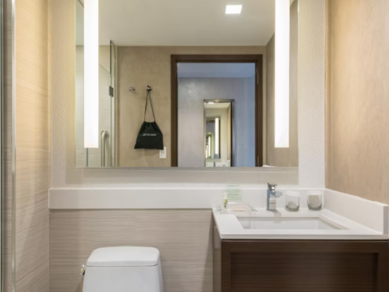 Holiday Inn Brooklyn Downtown - Oda