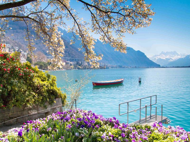 Fairmont Le Montreux Palace - Genel