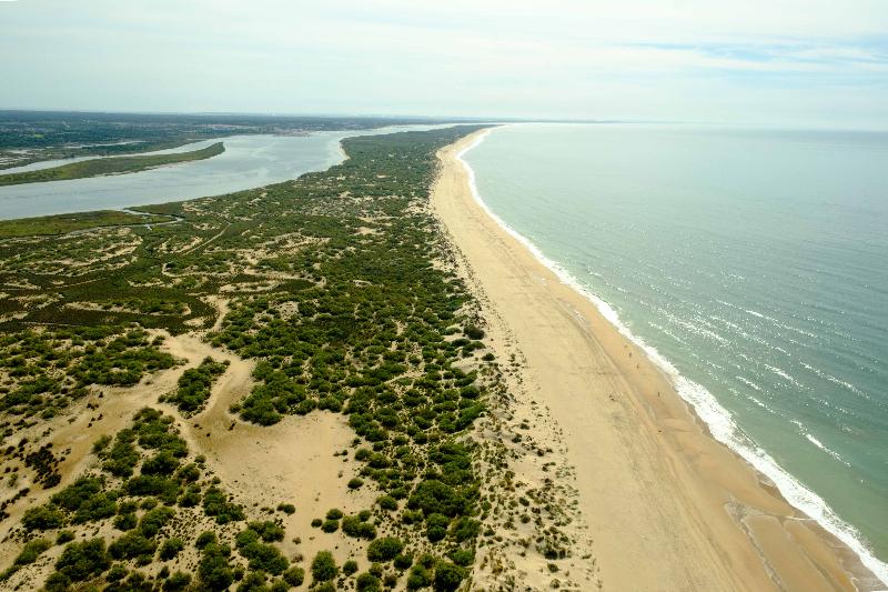 Estival Isla Cristina - Plaj