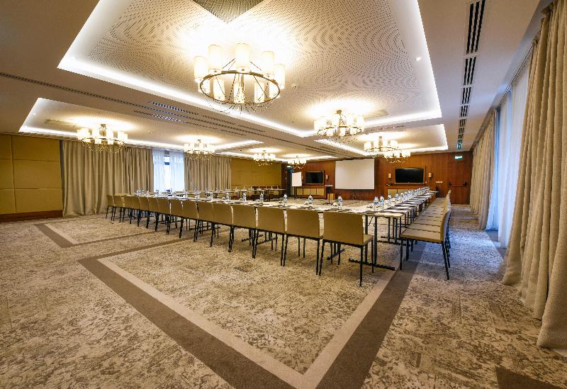Crowne Plaza Borjomi - Toplantı