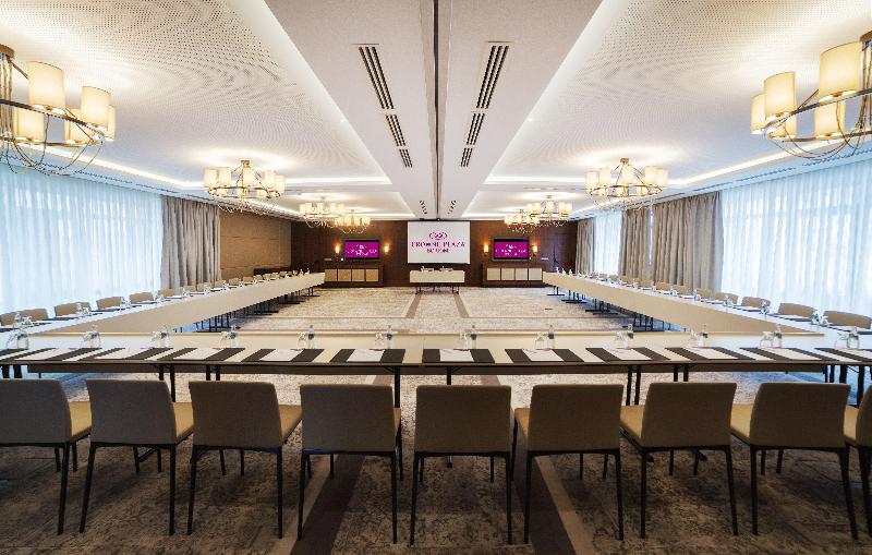 Crowne Plaza Borjomi - Toplantı