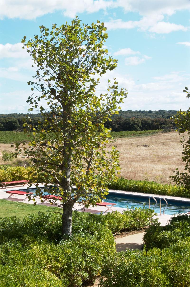 Château & Village Castigno - Wine Hotel & Resort - Havuz