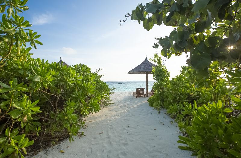 Reethi Faru Resort - Oda