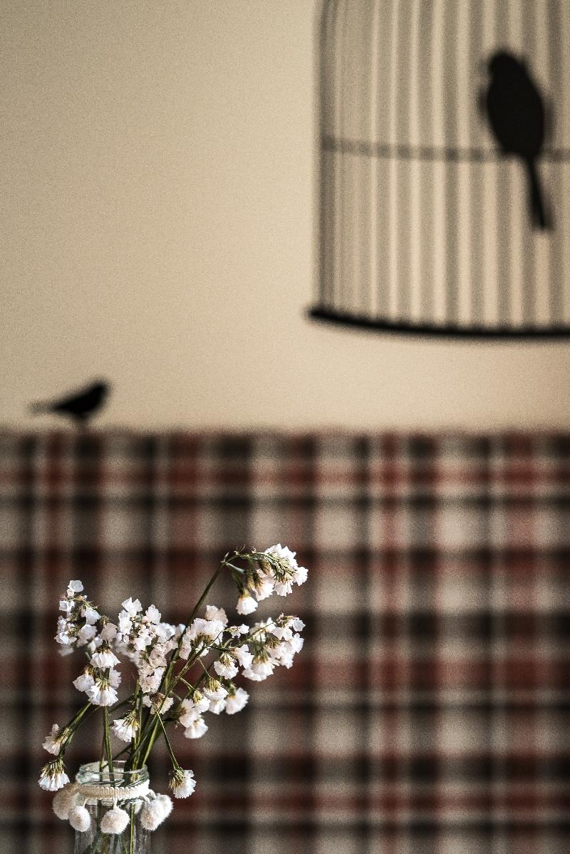 Atalaia B&B - Genel