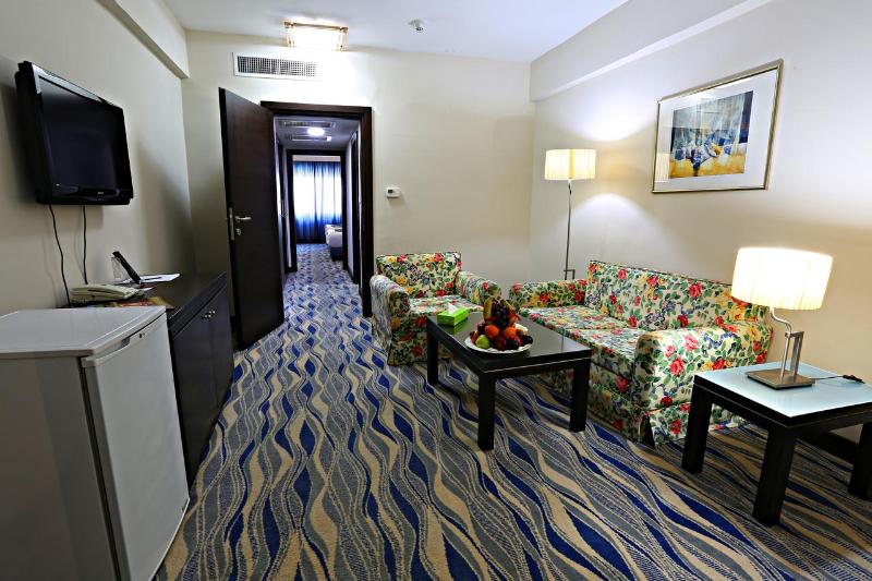 Mena Tyche Hotel Amman - Genel