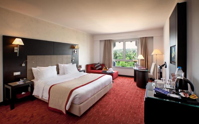 Golden Tulip El Mechtel - Oda