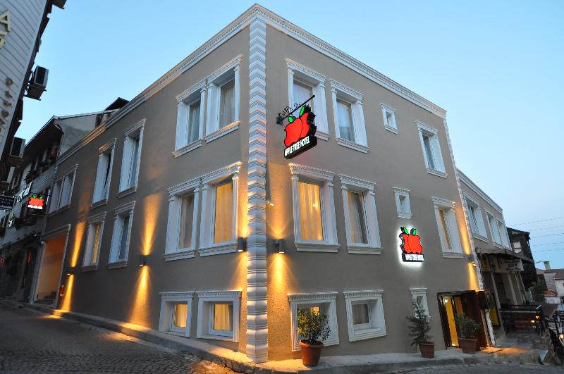 Apple Tree Hotel - Lobi